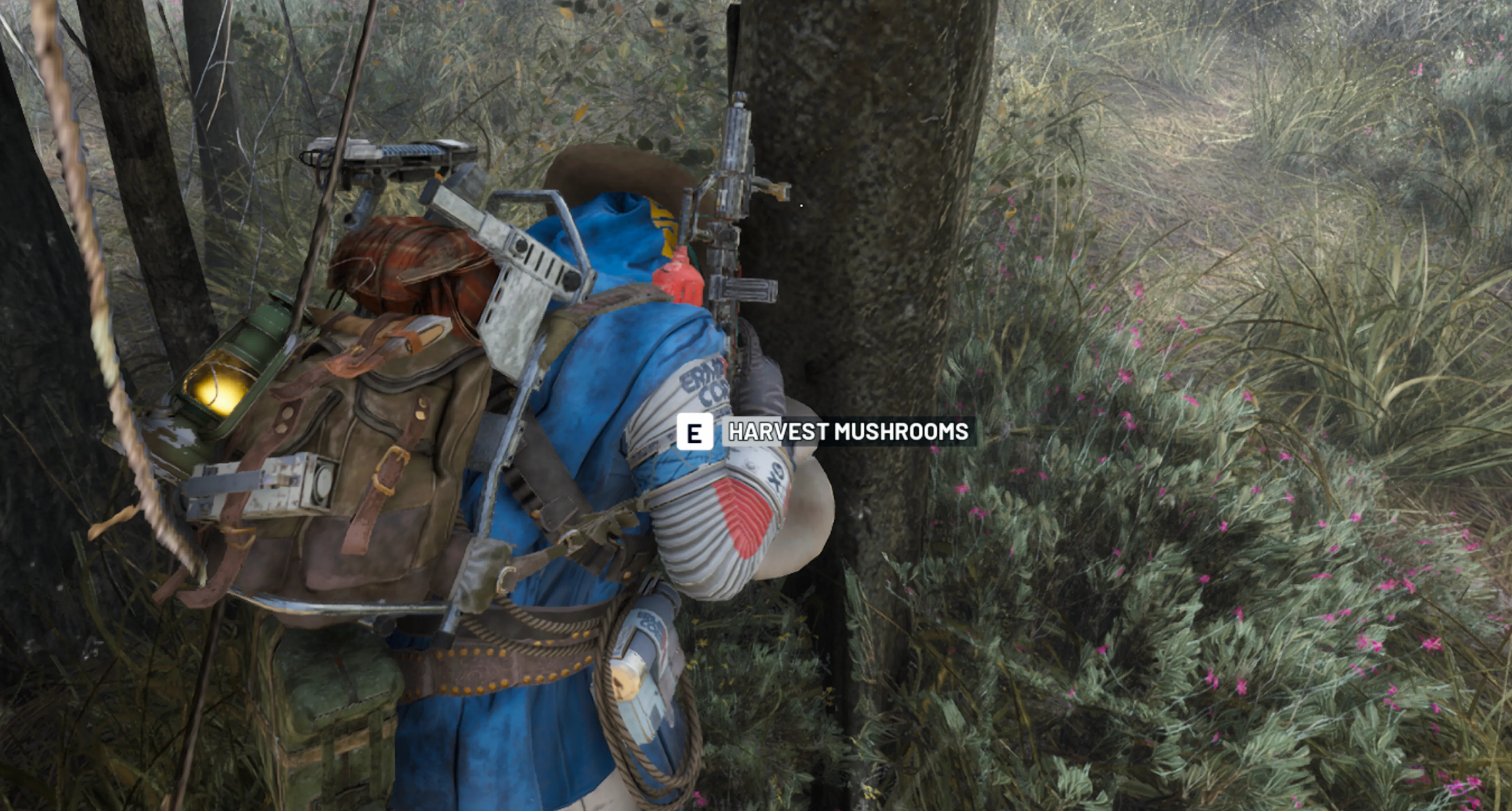 where to find mushrooms in arc raider